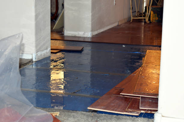 Professional Burst Pipe Cleanup technician working in Trenton, NC